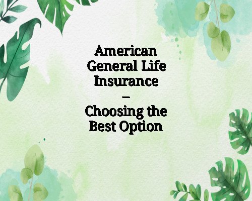 American General Life Insurance – Choosing the Best Option