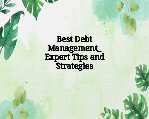 Best Debt Management_ Expert Tips and Strategies