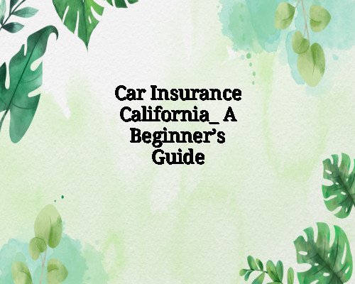 Car Insurance California_ A Beginner’s Guide