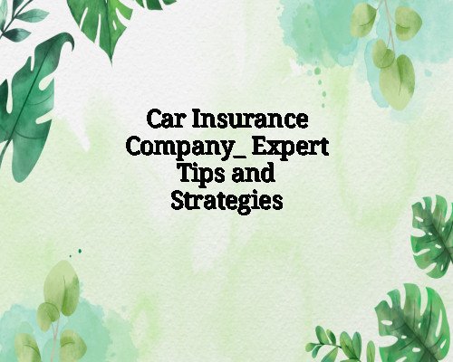 Car Insurance Company_ Expert Tips and Strategies