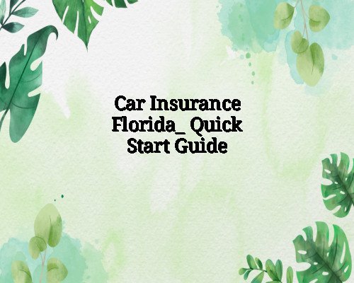 Car Insurance Florida_ Quick Start Guide