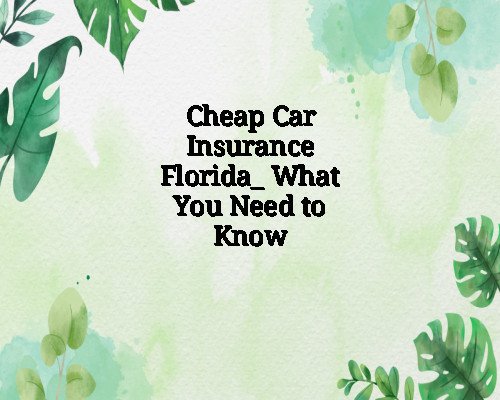 Cheap Car Insurance Florida_ What You Need to Know