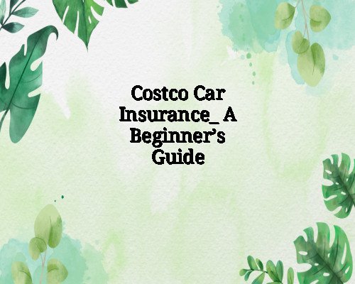 Costco Car Insurance_ A Beginner’s Guide