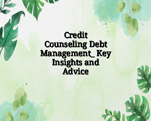 Credit Counseling Debt Management_ Key Insights and Advice