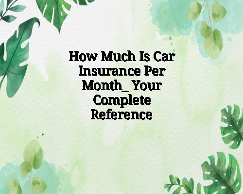 How Much Is Car Insurance Per Month_ Your Complete Reference