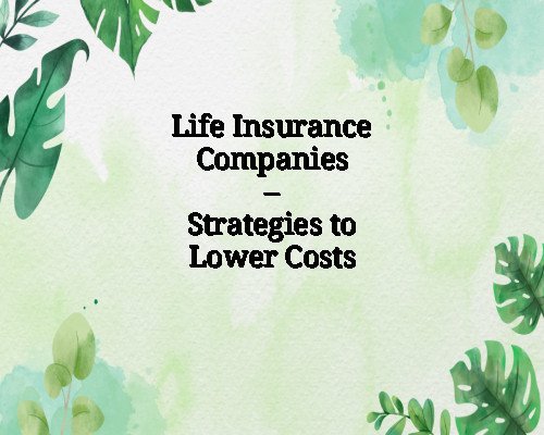 Life Insurance Companies – Strategies to Lower Costs