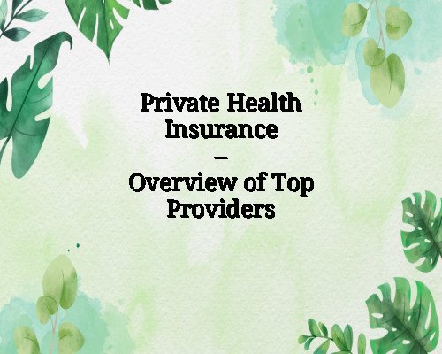 Private Health Insurance – Overview of Top Providers