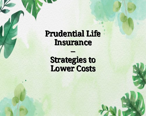 Prudential Life Insurance – Strategies to Lower Costs