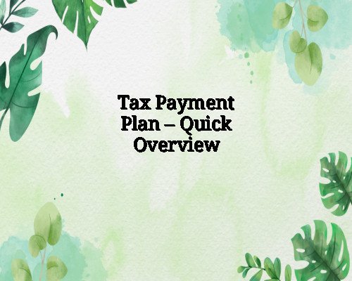 Tax Payment Plan – Quick Overview