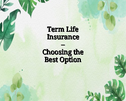 Term Life Insurance – Choosing the Best Option